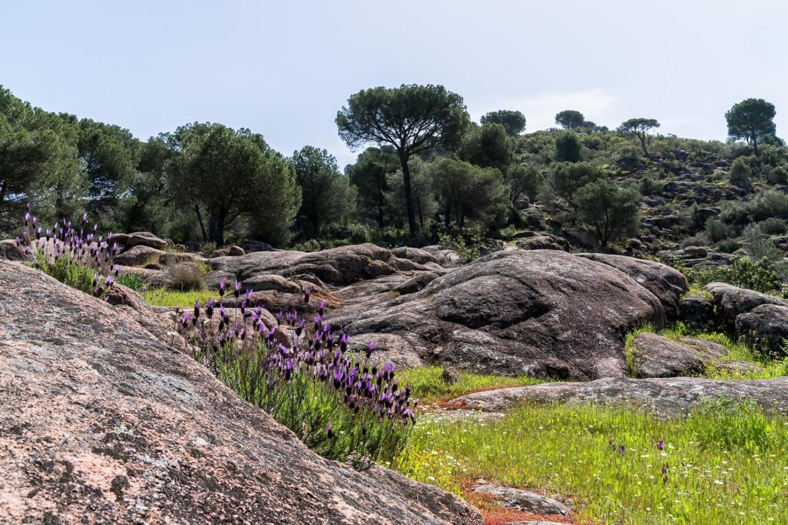 Casa El Paraiso Del Lago Alojamiento Rural Córdoba Exteriér fotografie